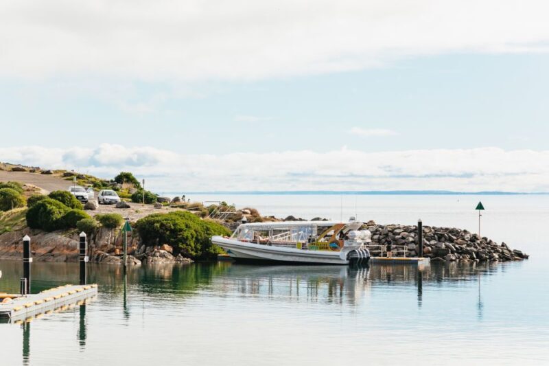 Kangaroo Island: 75-Minute Coastal Safari - Final Thoughts