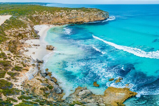 Kangaroo Island Half-Day Tour - Final Thoughts