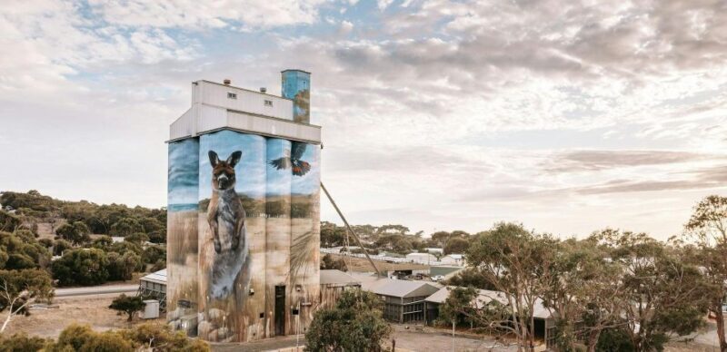 Kangaroo Island: Half-Day Tour Guided Coach Tour - An Honest Look at the Experience