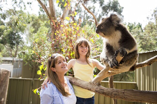 Kangaroo Island in a Day Tour from Adelaide - The Sum Up