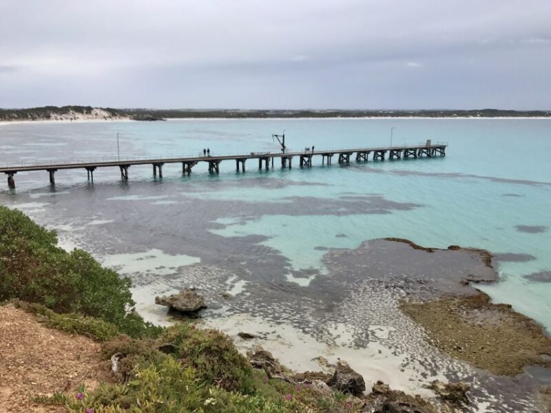 Kangaroo Island: Scenic, Nature & Wildlife Tour - Who Should Consider This Tour?