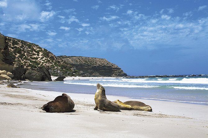 Kangaroo Island Shore Excursion Scenic Trail Tour - Exploring Kangaroo Island in Depth