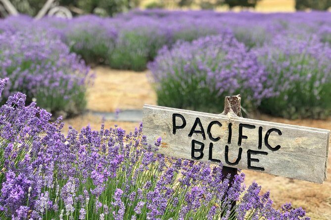 Kangaroo Island Shore Excursion Tasting Tour - For Cruise Ship Passengers Only - Exploring the Itinerary: What Youll Experience