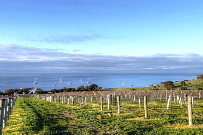 Kangaroo Island Shore Excursion Tasting Tour - For Cruise Ship Passengers Only - The Value of This Tour