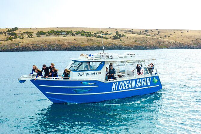 Kangaroo Island - Swim with Dolphins/Seals/Coastal Snorkel - An in-depth look at the Kangaroo Island Water Safari