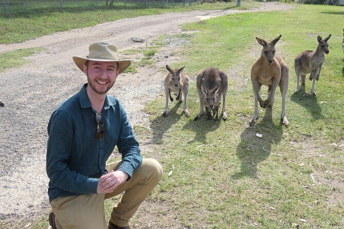 Kangaroo Wildlife Half Day Small Group Tour From Sydney - A Closer Look at the Experience