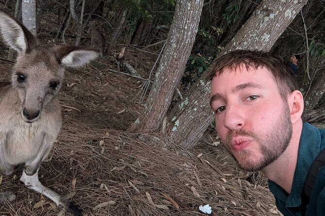 Kangaroo Wildlife Half Day Small Group Tour From Sydney - Frequently Asked Questions