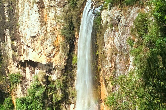Kangaroos, Rainforest & Waterfalls Experience - Small Group - Practical Details: Transportation, Timing, and Group Size