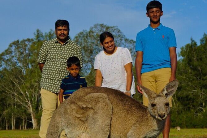 Kangaroos, Rainforest & Waterfalls Experience - Small Group - Authentic Insights from Reviews