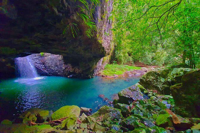 Kangaroos, Rainforest & Waterfalls Experience - Small Group - Who Should Consider This Tour?