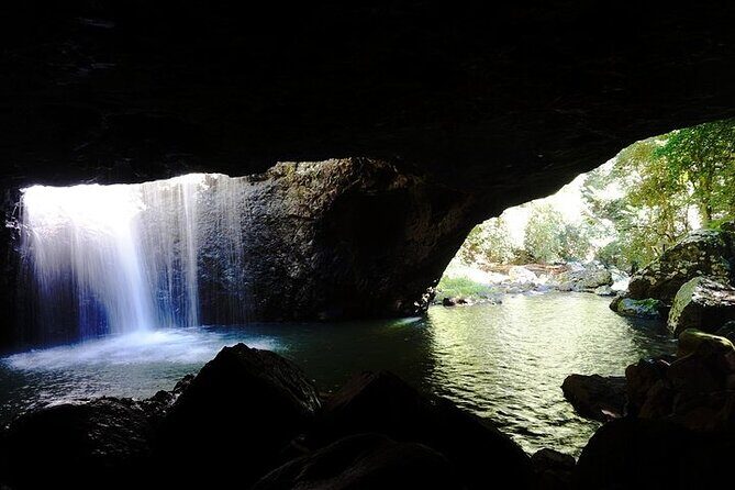 Kangaroos, Rainforest & Waterfalls Experience - Small Group - The Sum Up