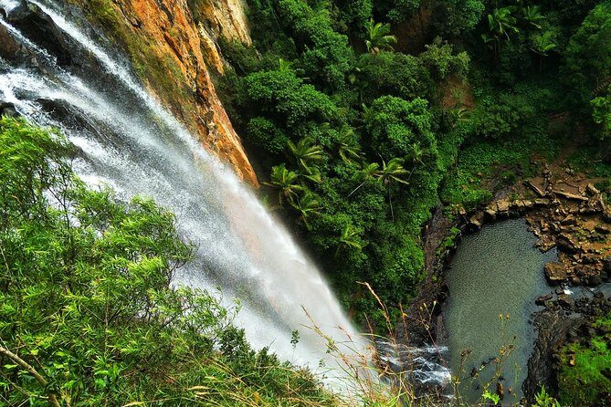 Kangaroos, Rainforest & Waterfalls Experience - Small Group - FAQ