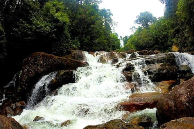 Kanneliya Rain Forest Tour - Key Points