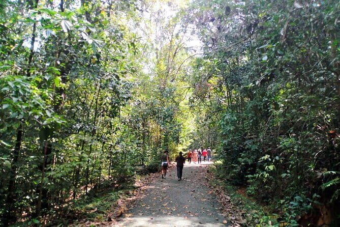 Kanneliya Rain Forest Tour - Final Thoughts: Is This Tour Worth It?
