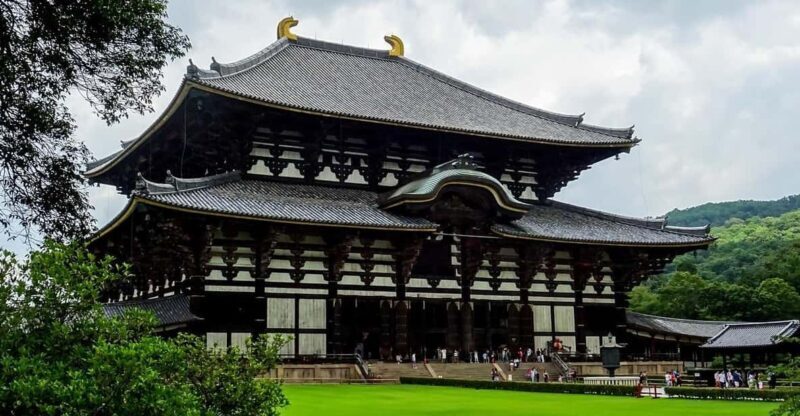 Kansai 10-hour chartered day tripNara city - Who Should Consider This Tour?