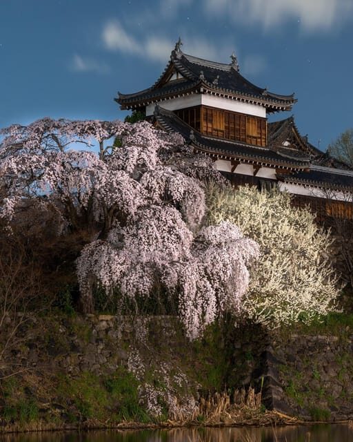 Kansai 10-hour chartered day tripNara city - Final Thoughts