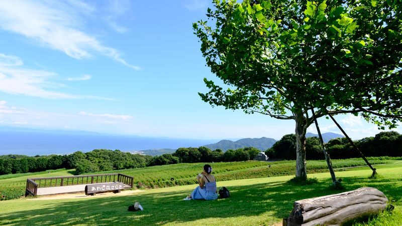 Kansai Niche Secret One-Day Tour: Awaji Island / Mount Koya / Kumano Kodo (Choose one of three) - Departing from Osaka Shinsaibashi - Timing, comfort, and small practical details