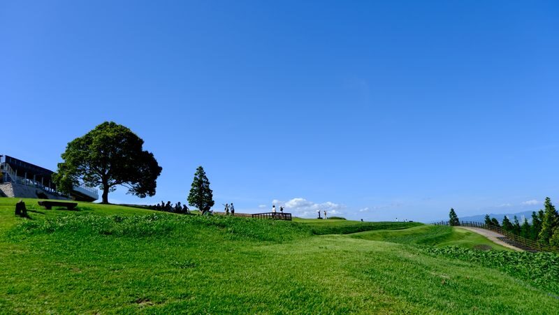 Kansai Niche Secret One-Day Tour: Awaji Island / Mount Koya / Kumano Kodo (Choose one of three) - Departing from Osaka Shinsaibashi - Who should book this day trip?