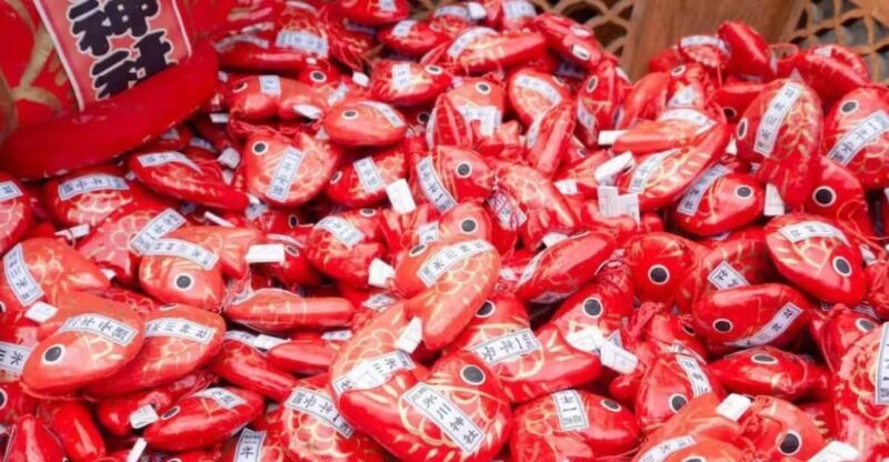 Kanto 10-hour chartered day trip Kawagoe - Final Thoughts: Is This Tour for You?