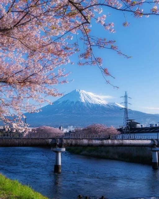 Kanto 10-hour chartered day tripMt. Fuji Day Trip - Who Will Love This Tour?