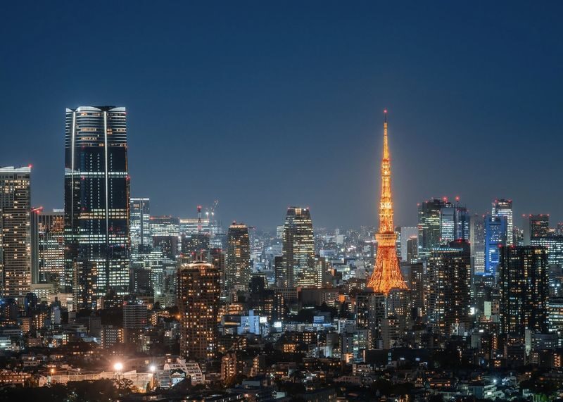 Kanto Private Chartered Car Custom Day Tour | Kamakura & Yokohama & Hakone & Mt. Fuji & Karuizawa | Departing from Tokyo - The short version