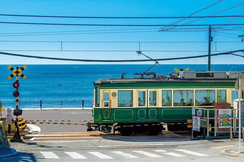 Kanto Private Chartered Car Custom Day Tour | Kamakura & Yokohama & Hakone & Mt. Fuji & Karuizawa | Departing from Tokyo - What the price buys, and what it does not