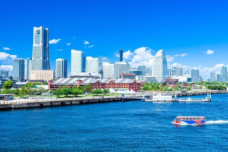 Kanto Private Chartered Car Custom Day Tour | Kamakura & Yokohama & Hakone & Mt. Fuji & Karuizawa | Departing from Tokyo - Who should book this day out