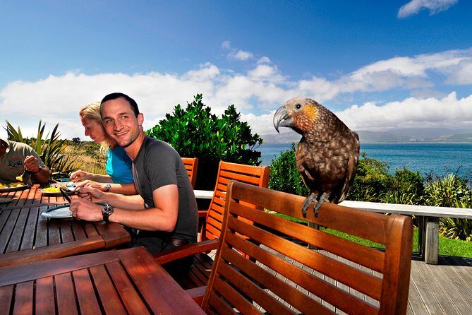Kapiti Island Classic Guided Day Tour - An Authentic Day on Kapiti Island: What You Need to Know