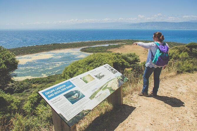 Kapiti Island Classic Guided Day Tour - Key Points