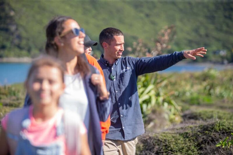 Kapiti Island: Classic Guided Day Tour - Exploring Kapiti Island: An In-Depth Review