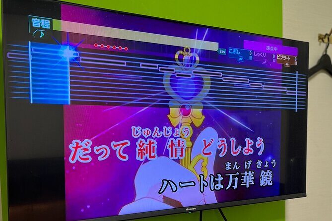 Karaoke Box Experience with a Professional Vocal Trainer - Who Will Love This Experience?