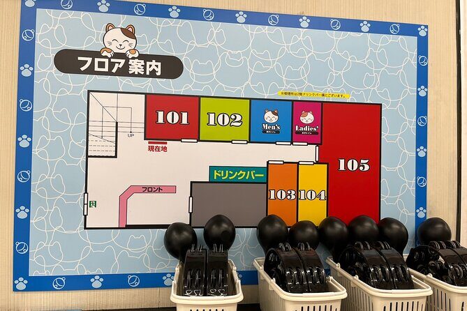 Karaoke Box Experience with a Professional Vocal Trainer - A Deep Dive into the Details