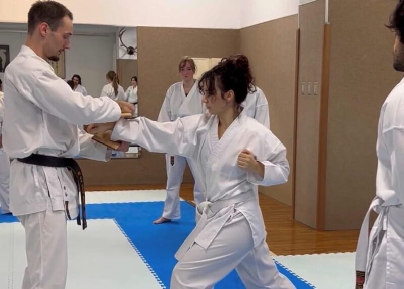 Karate Experience with the Shotokan Karate-do Instructor - Key Points
