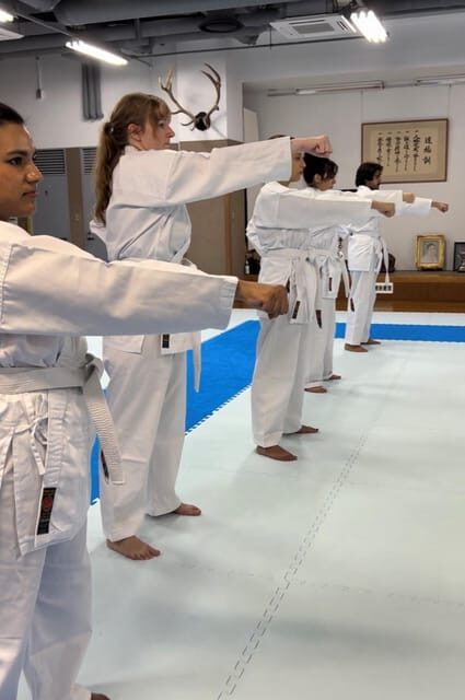 Karate Experience with the Shotokan Karate-do Instructor - Final Thoughts