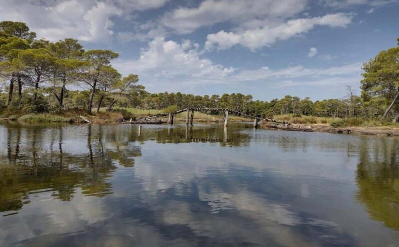 Karavasta:Bird Watching, Tower Views & Lagoon Exploration - Discover Albania’s Natural Beauty: Karavasta Lagoon, Bird Watching & More