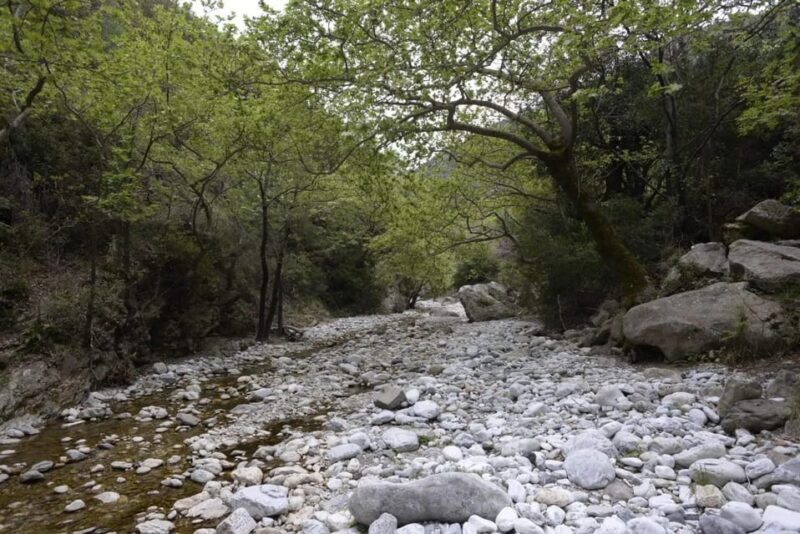 Kardamili : Hiking in Ridomo gorge - Exploring the Gorge: What to Expect