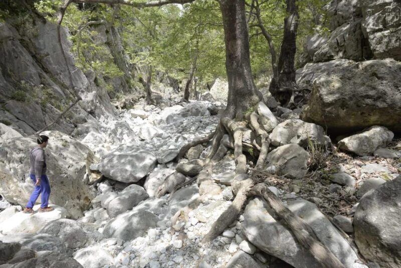 Kardamili : Hiking in Ridomo gorge - Final Thoughts