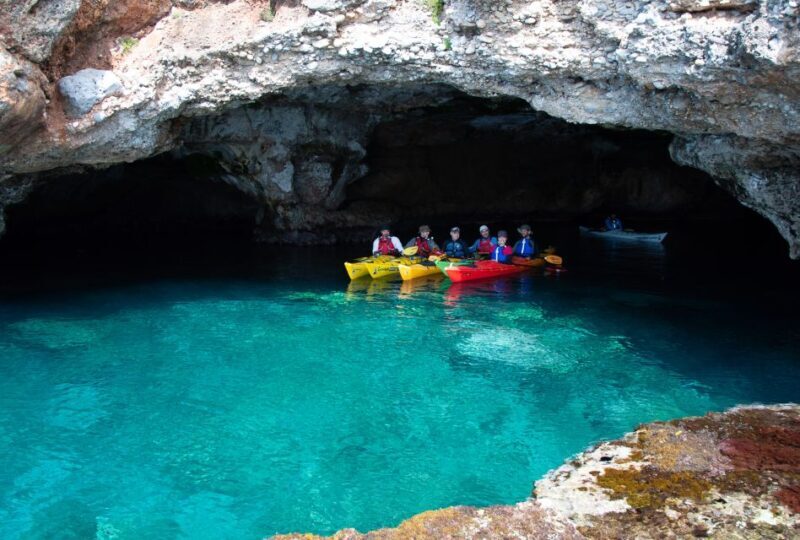 Kardamyli: Sea Kayaking With Lunch - Final Thoughts