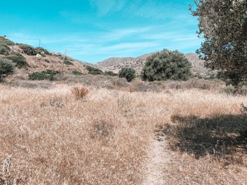 Karpathos: Easy Guided Nature and Culture Hike in Pigadia - Key Points