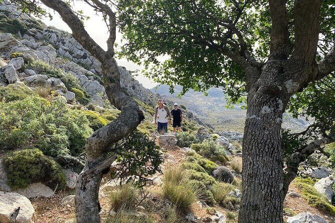 Karpathos Kali Limni Hike to the highest peak of the Dodecanese - Discover the Highest Peak of the Dodecanese: Kali Limni on Karpathos
