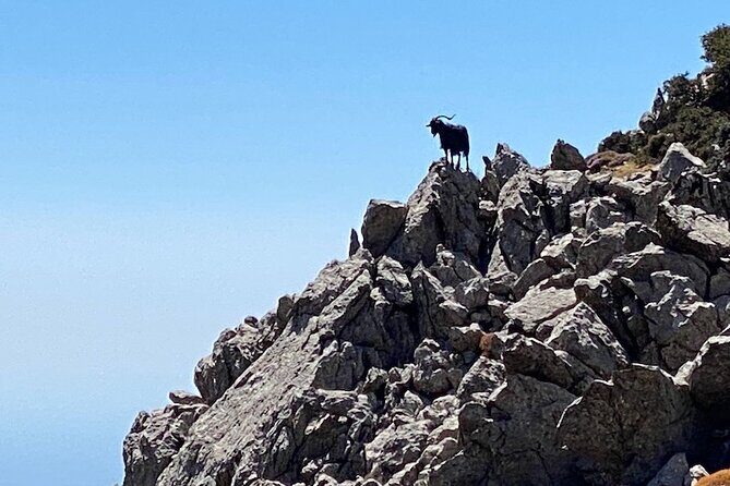 Karpathos Kali Limni Hike to the highest peak of the Dodecanese - Is This Tour Worth the Price?