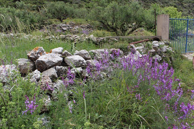 Karpathos Pini to Stes Mountain Village Guided Hike - Final Thoughts