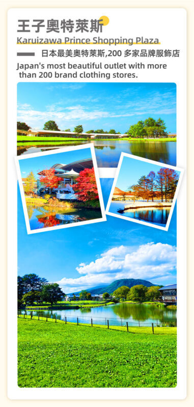 Karuizawa Day Tour: Resort Karuizawa Prince Outlet & Hoshino Resorts & Hikawa Shrine & Kawagoe Koedo Day Tour - Who should book this Karuizawa and Kawagoe day trip?