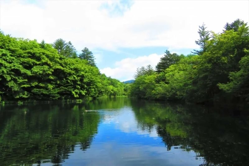Karuizawa Day Tour | Shiraito Falls-Kumoba Pond-Old Karuizawa Ginza Street-Karuizawa Outlet | Depart from Shinjuku - Old Karuizawa Ginza Street: shops, snacks and resort character