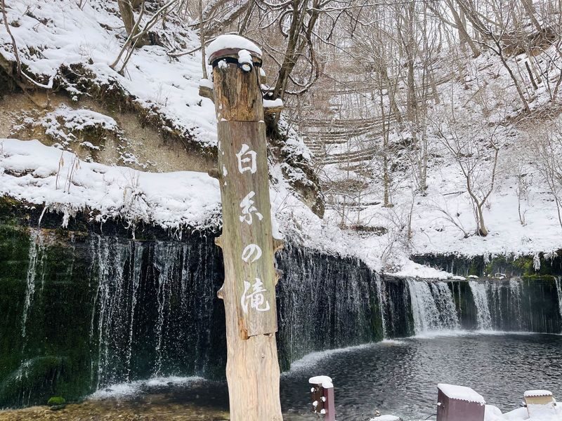 Karuizawa Day Tour | Shiraito Falls-Kumoba Pond-Old Karuizawa Ginza Street-Karuizawa Outlet | Depart from Shinjuku - Who should book this Karuizawa day trip?