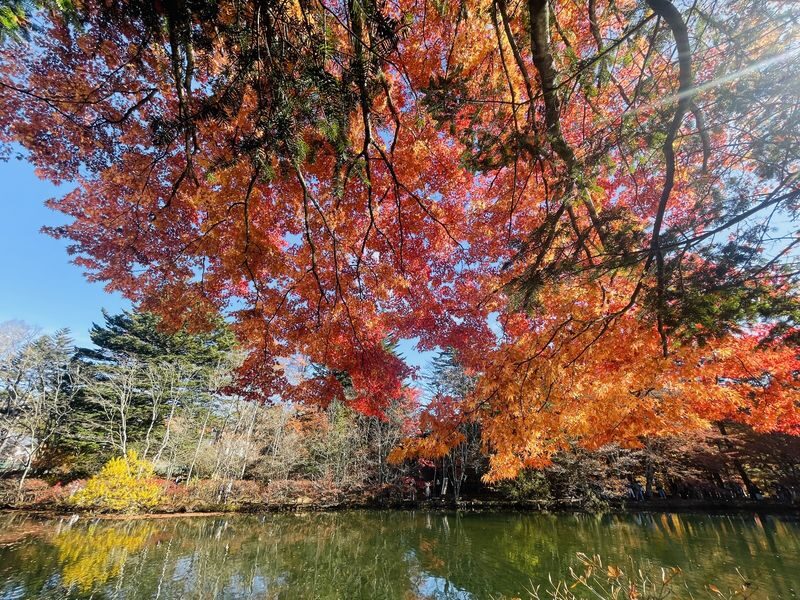 Karuizawa Day Trip: Shiraito Falls + Kumoba Pond + Outlet Shopping (Departing from Tokyo) - Outlet shopping: a different sort of final stop