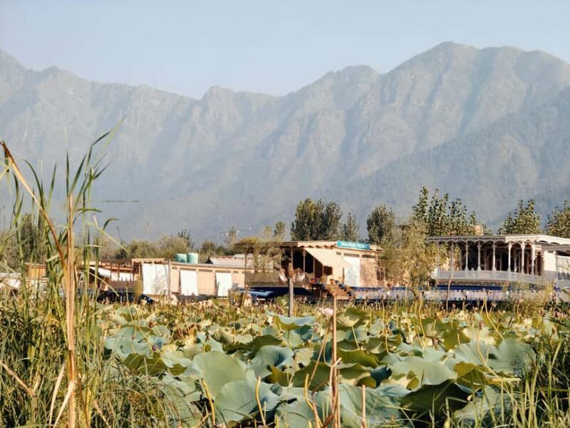 Kashmir Houseboat Tour Package for 3 Days - Key Points