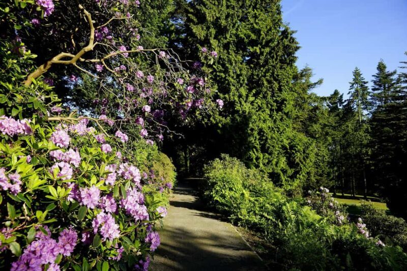 Kassel: Ready for the island?! Karlsaue and Siebenbergen in the scent of spring - A Deeper Look at the Kassel: Island of Flowers Tour
