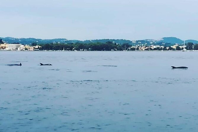 Kassiopi Private Daily Sailing Yacht Cruise - The Sum Up