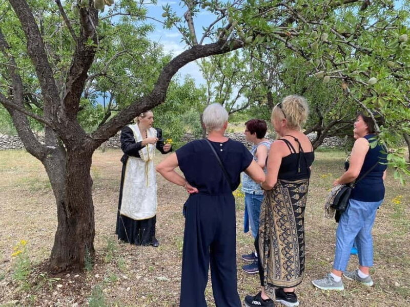Kastela: Wine & Olive Tasting Tour w/Delicacies & Live Music - Why Travelers Love This Tour